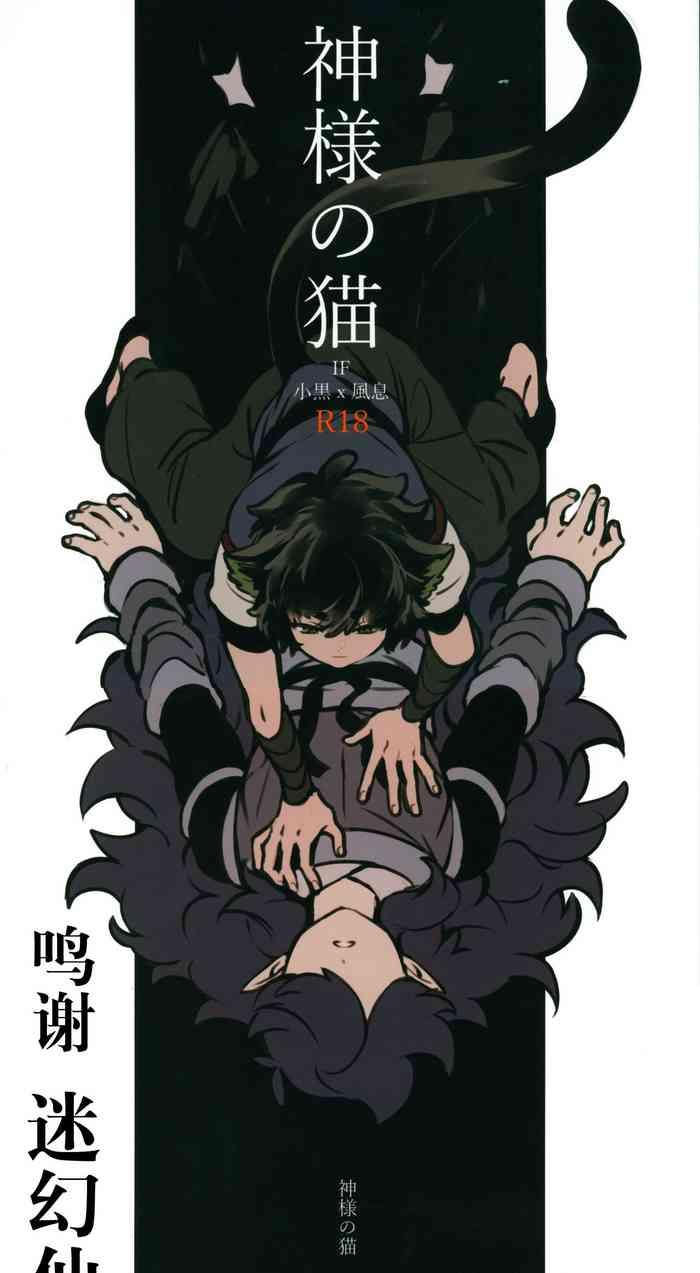 cover 17