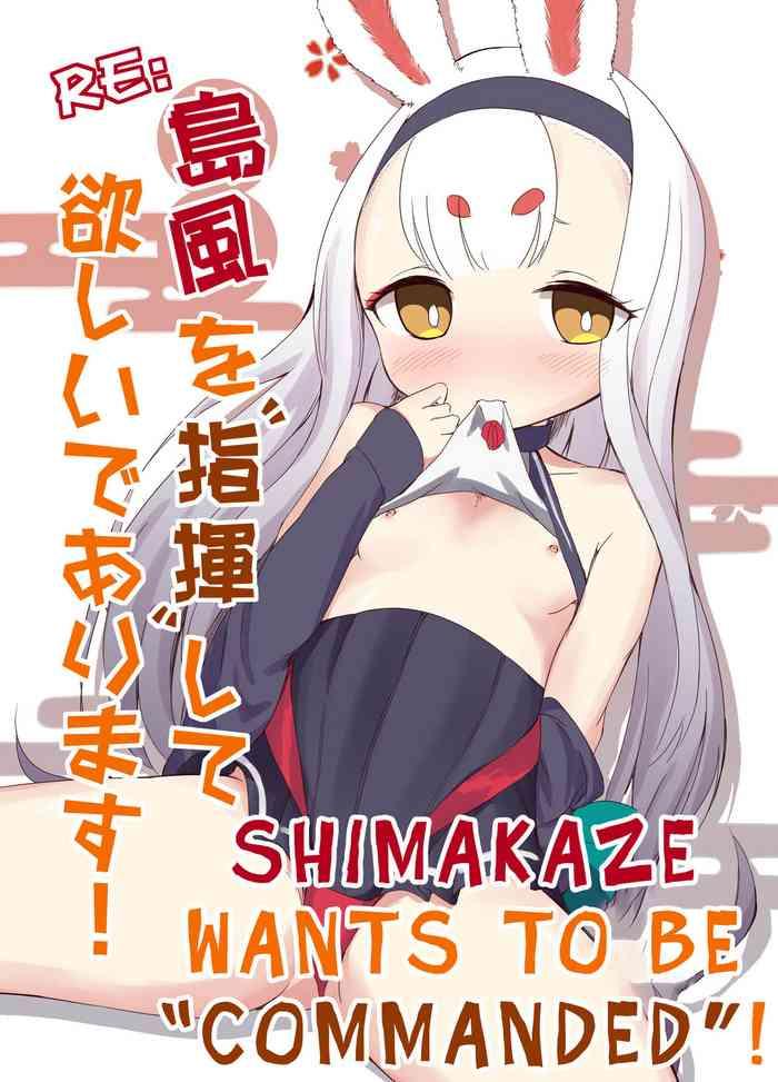 re shimakaze o shiki shite hoshii de arimasu cover