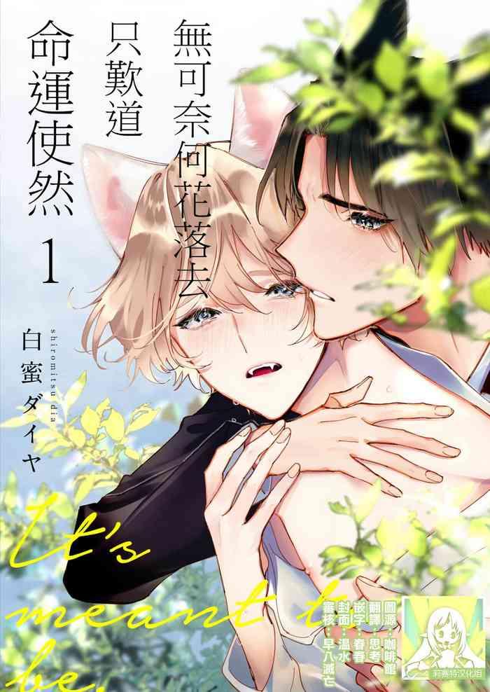 dou shiyou mo nai hodo ni unmei 1 7 end cover