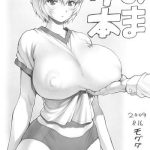 ayanami vol 2 omake hon cover