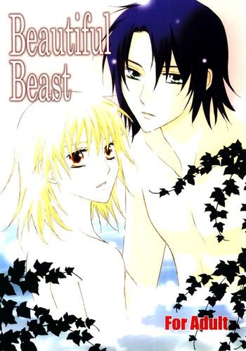 beautiful beast cover