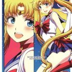 usagi no junjou chin make bishoujo senshi cover