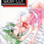 apron short cut cover