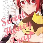 sweet honey trap cover